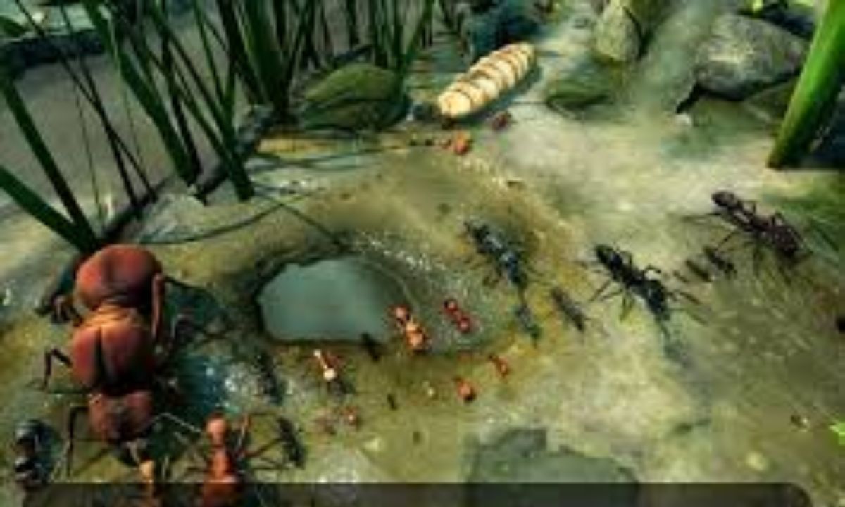 UndergrowthGames